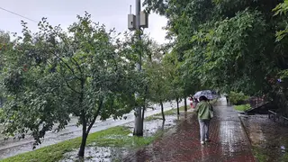 Слабый дождь и холодные порывы ветра вновь придут в Красноярск 5 октября