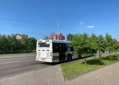автобус транспорт