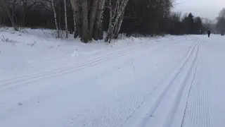 В Красноярске на острове Татышев проложили лыжню