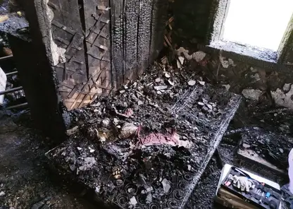 болотное