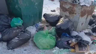 «Живем как на полигоне»: красноярцы пожаловались на переполненные мусорные баки у своих домов