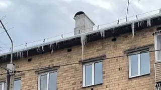 Сосулька повредила машину: как получить компенсацию