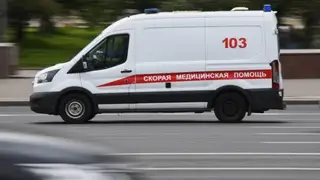 Юрист из Новосибирска Елена Попова рискует умереть в больнице от сепсиса Юрист из Новосибирска Елена Попова рискует умереть в больнице от сепсиса