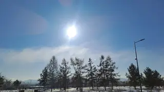 Весна всё-таки приходит в Красноярск: на неделе ожидается стабильный плюс Весна всё-таки приходит в Красноярск: на неделе ожидается стабильный плюс