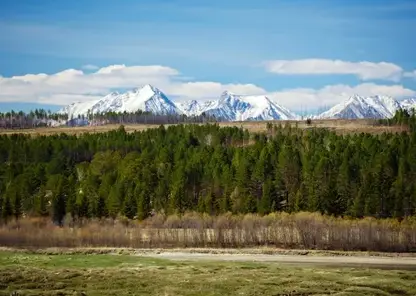 RIA_2443901.LR