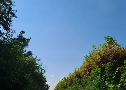 погода небо осень