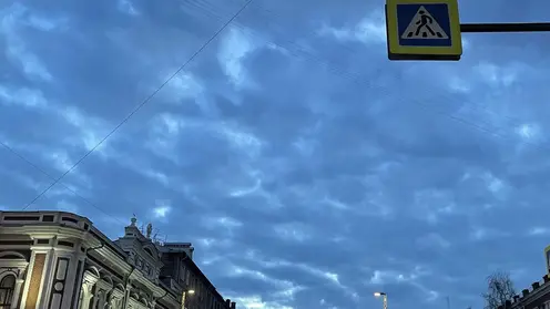 Погода