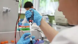 В рейтинге по научно‑технологическому развитию регионов поднялась Томская область