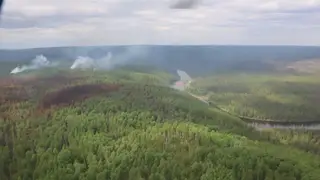 В Красноярском крае бушуют 95 лесных пожаров В Красноярском крае бушуют 95 лесных пожаров