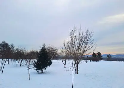 погода зима снег