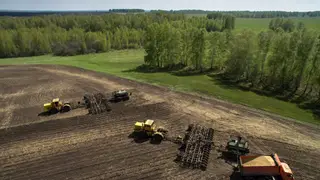 Режим ЧС могут ввести в Новосибирской области из-за засухи