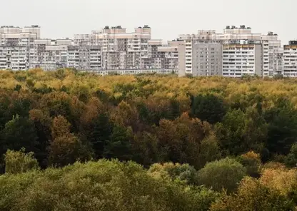 RIA_9257347.LR