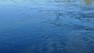 Врач рассказал, чем можно заразиться при купании в водоемах