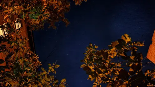 20250829_213312 (1)