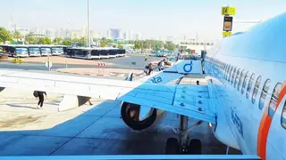 Статистика за год: в Красноярском крае подорожал лук, но подешевели туры в ОАЭ