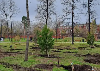 централ парк