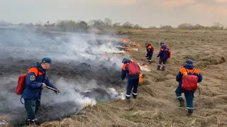 В Хабаровском крае объявили режим ЧС из-за лесных пожаров В Хабаровском крае объявили режим ЧС из-за лесных пожаров