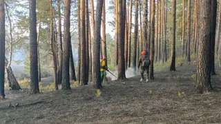 С 20 марта в семи округах Забайкалья начнется пожароопасный сезон