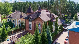 В Новосибирске за 70 млн рублей продают замок с башней и прудом В Новосибирске за 70 млн рублей продают замок с башней и прудом
