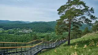 В Красноярске 18 сентября закроют Торгашинскую лестницу В Красноярске 18 сентября закроют Торгашинскую лестницу