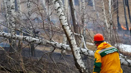 Снимок экрана 2023-12-12 в 14.19.05