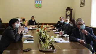 Бездомных животных в Абакане внесут в базу данных