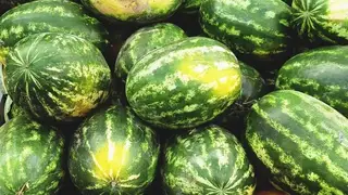 Красноярцам дали рекомендации, как не отравиться арбузами и дынями Красноярцам дали рекомендации, как не отравиться арбузами и дынями