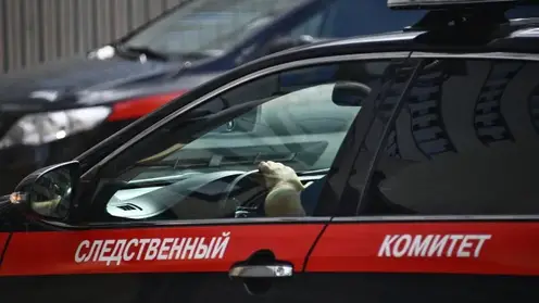 скр РИА Евгений Одиноков