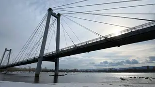 На берегу Енисея в Красноярске очевидцы заметили крокодила На берегу Енисея в Красноярске очевидцы заметили крокодила