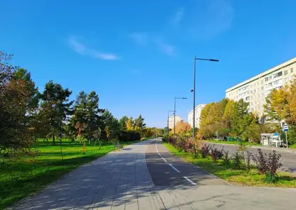 погода парк сквер деревья природа