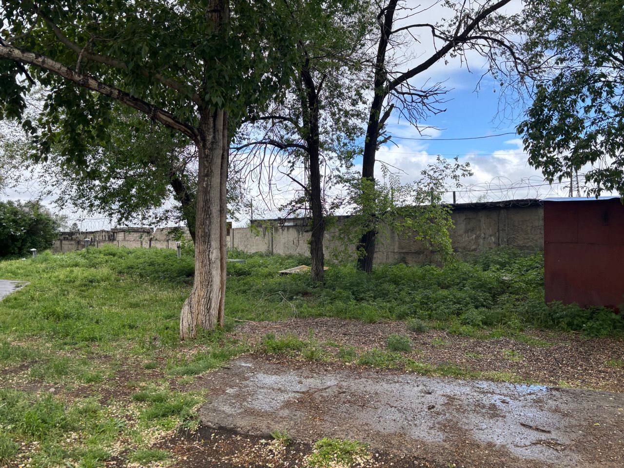 Фото: Прокуратура Красноярского края