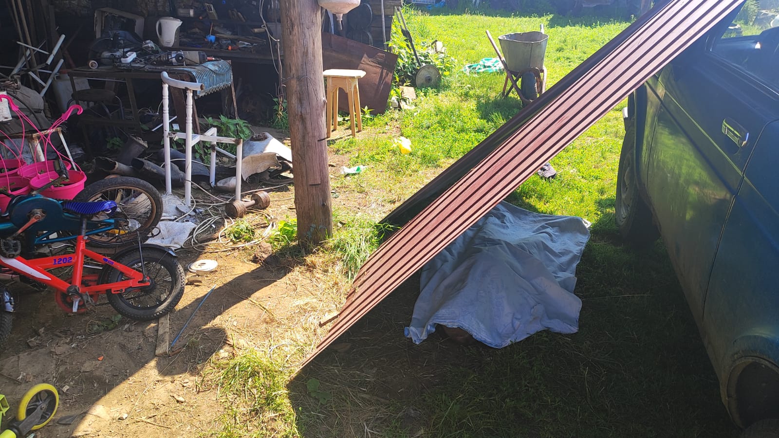 Фото: Прокуратура Красноярского края