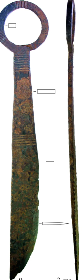 Фото: пресс-служба СФУ