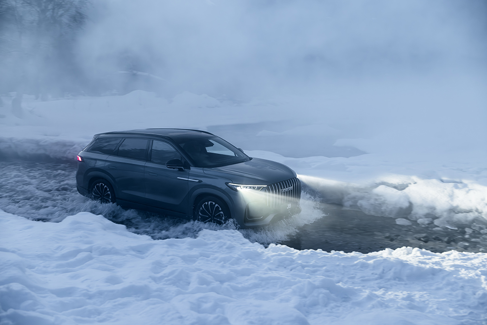 Фото: © ООО «Медведь Альянс»