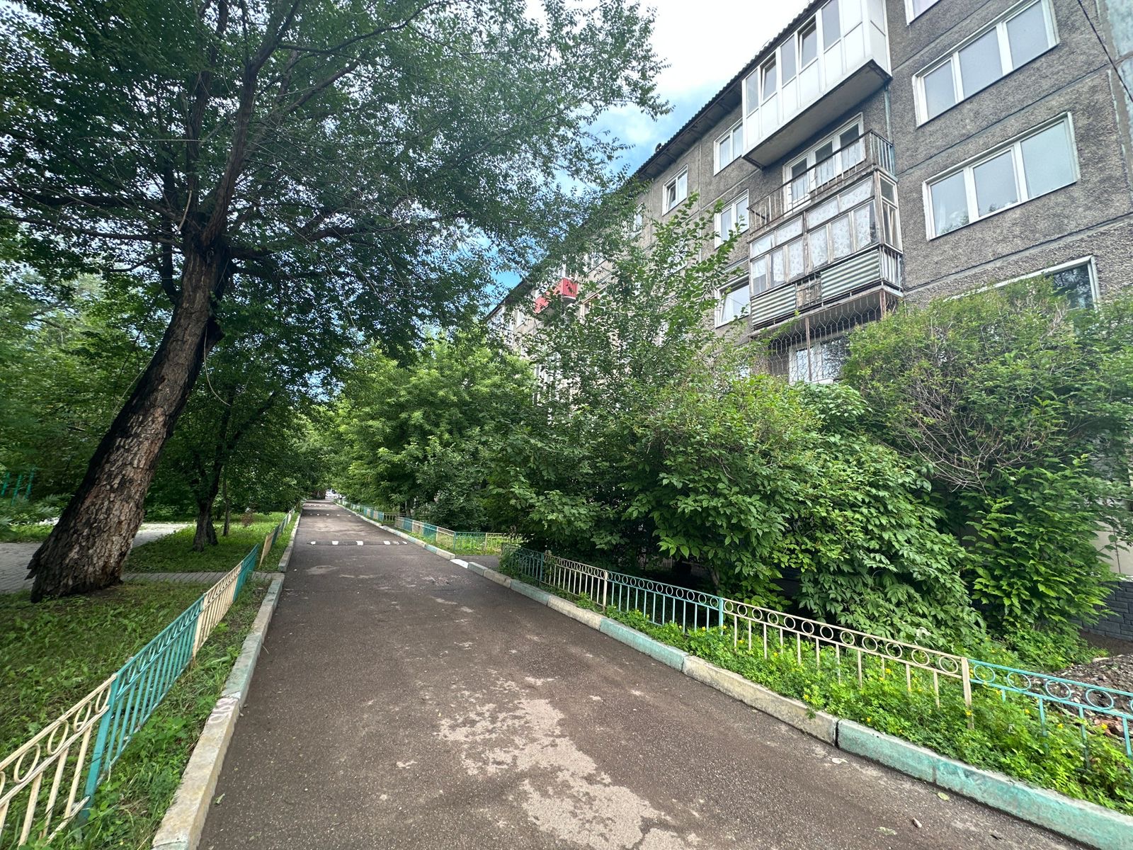 Фото: СК по Красноярскому краю. Двор, где все произошло