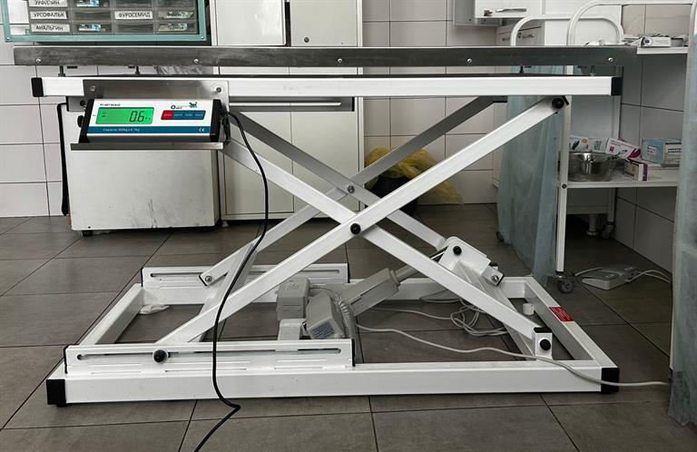 Фото: Администрация г. Красноярска