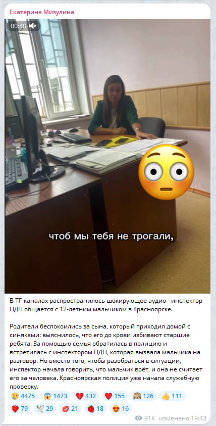 Скриншот: Telegram-канал «Екатерина Мизулина"