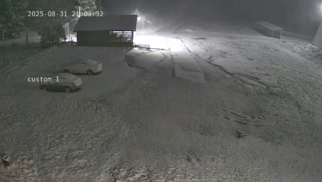 Фото: Telegram-канал «Легендарный Семинский»