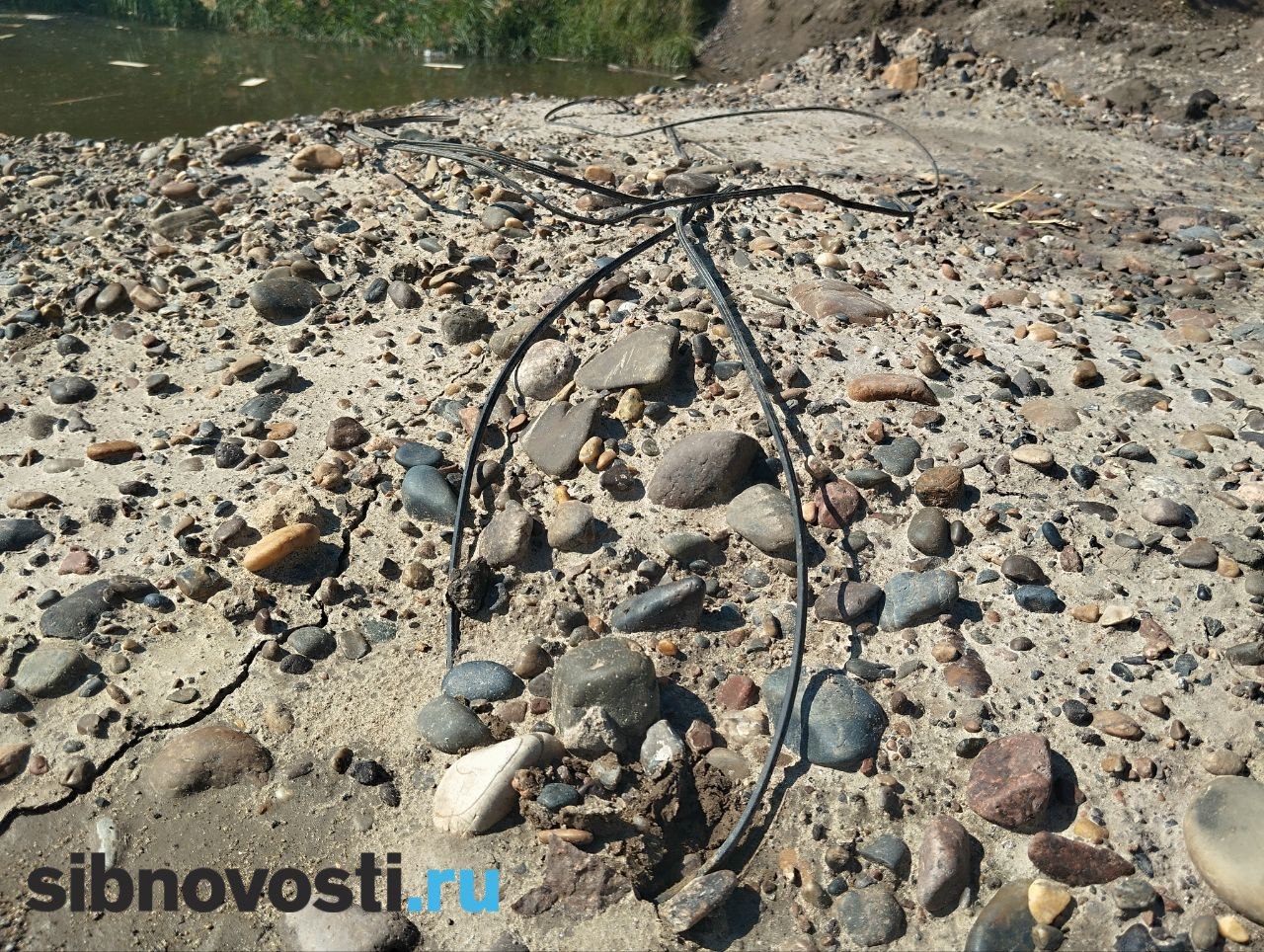 Фото: sibnovosti.ru