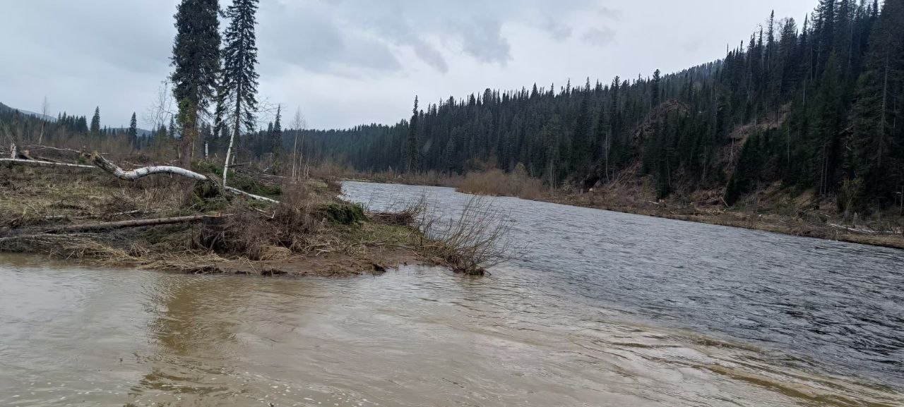 Фото: Telegram-канал «Юлия Гуменюк»