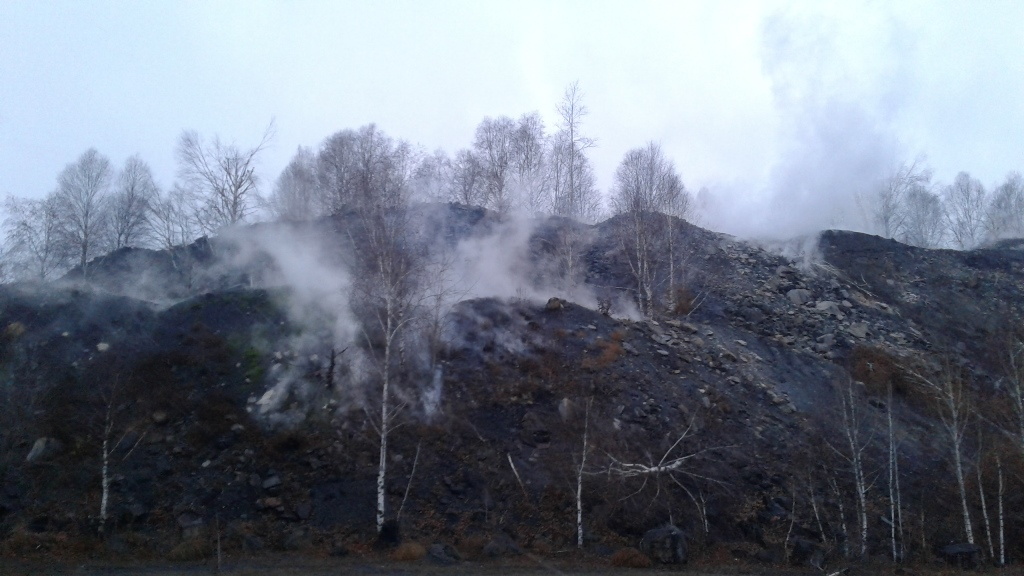 Фото: Ольга Карначук