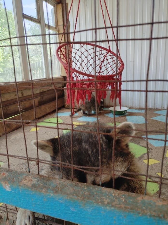 Фото: официальный канал Управления Россельхознадзора по Красноярскому краю