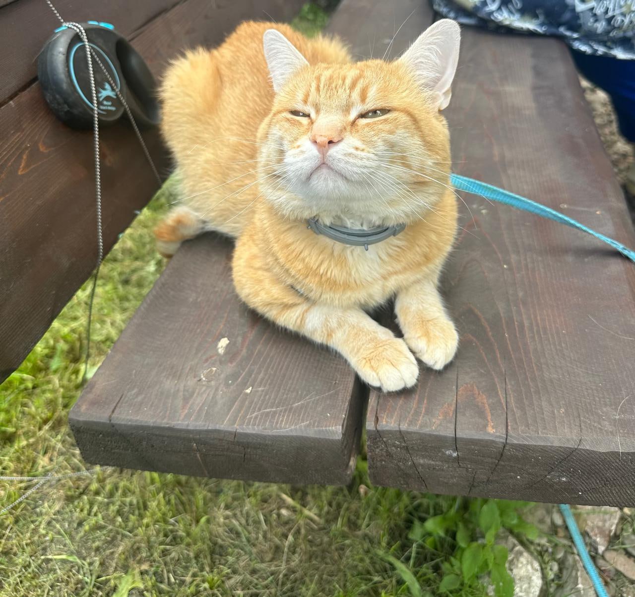 Фото: Telegram-канал «Мэрия Красноярска»