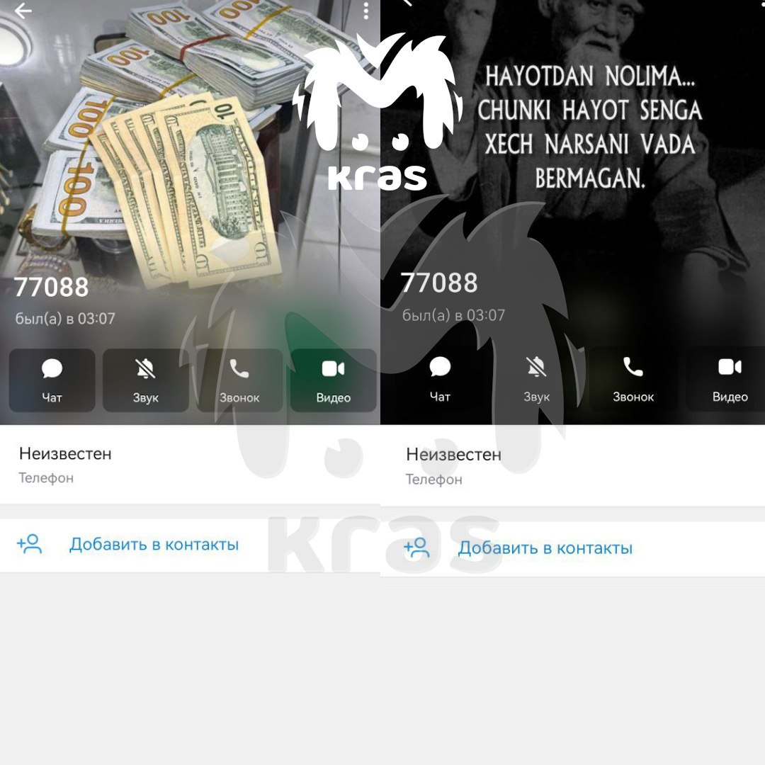 Фото: Telegram-канал «Kras Mash»