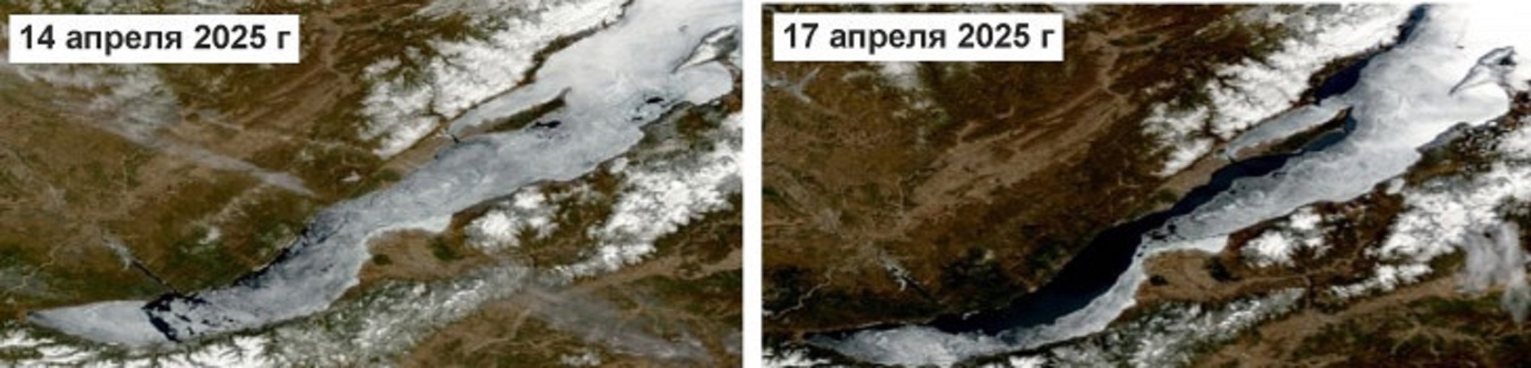 Фото: Лимнологический институт СО РАН