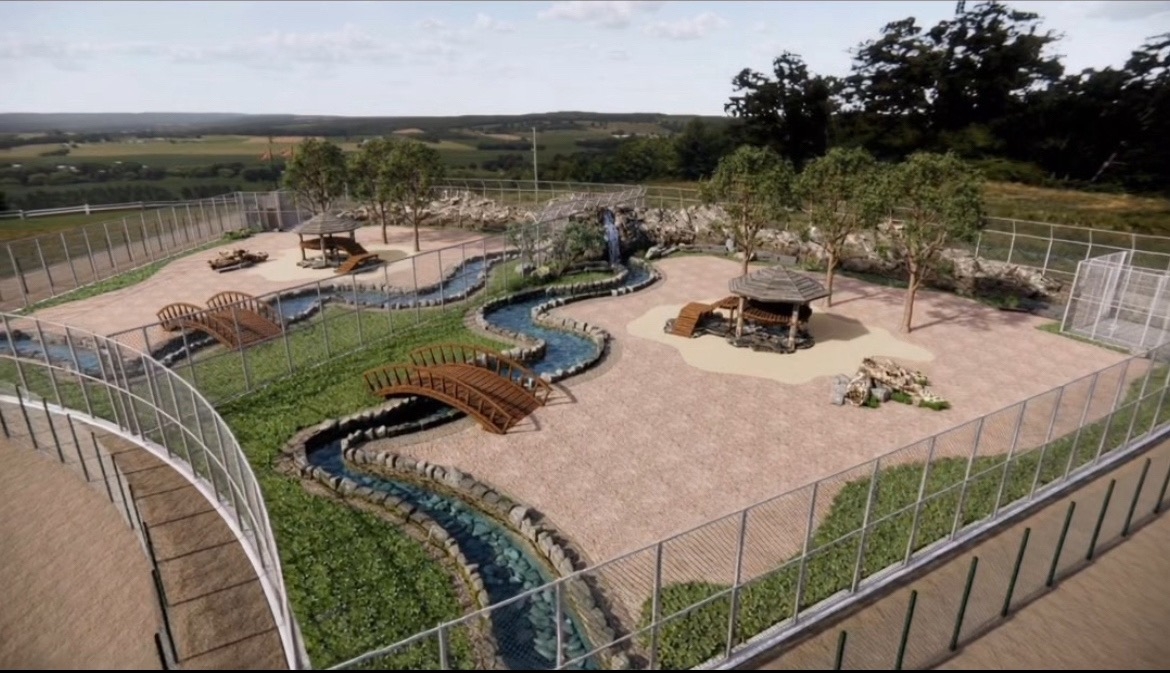 Фото: Зоопарк «Чудесный»