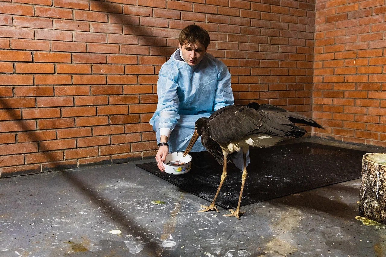 Фото: Тувинское республиканское отделение РГО, Олег Чипура