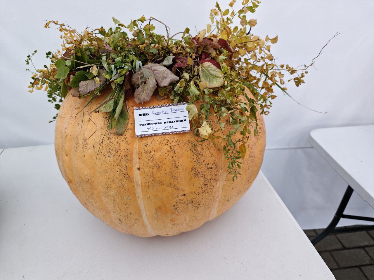 Фото: мэрия Красноярска