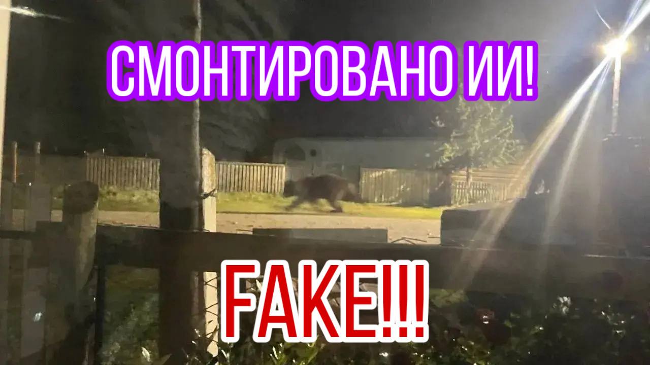Фото: Личный телеграм-канал Геннадия Осоедова