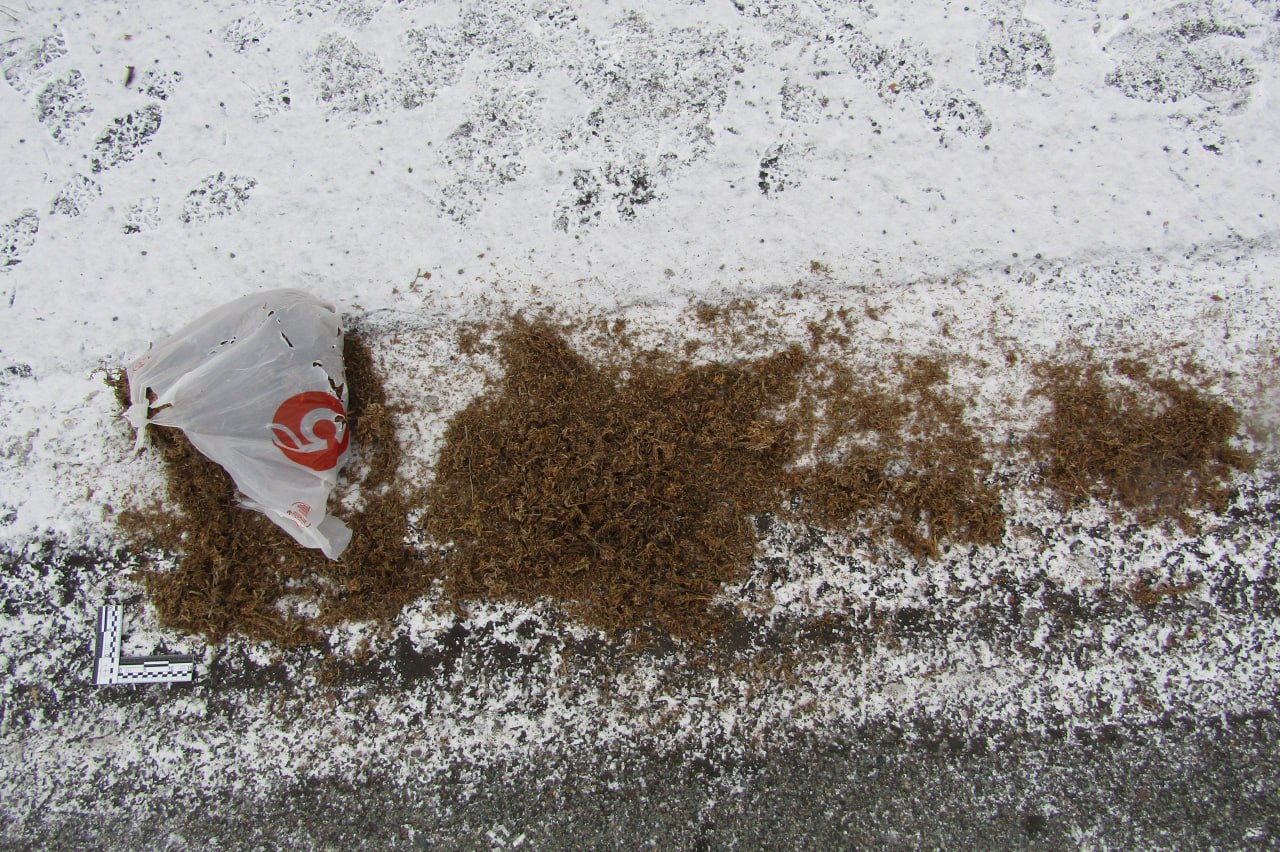 Фото: Telegram-канал «МВД 24»